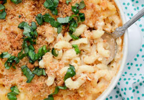 Spring Vegetarian Freezer Menu Vol. 3