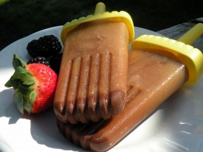 Sugar Free Fat Free Mocha Popsicles