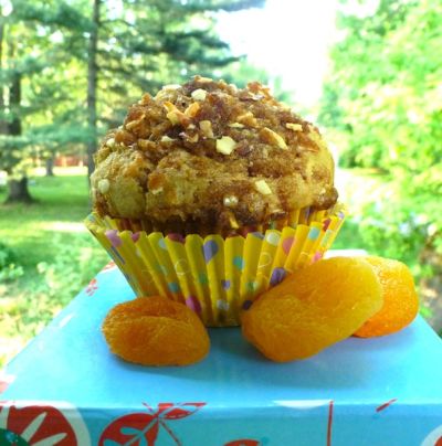 Gluten Free Dairy Free Apricot Muffins with Almond Streusel