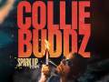 Collie Buddz - Spark Up Tour 
