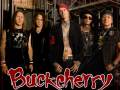 Buckcherry * Drew Cagle & The Reputation * Darken The Day 