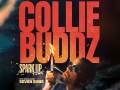 Collie Buddz * Seven Suns