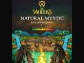 The Wailers 