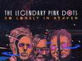The Legendary Pink Dots