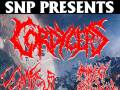Cordyceps, Vulnificus 