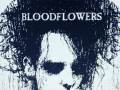 Bloodflowers - The Cure Tribute Show