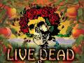 Live Dead & Brothers - An All Star Celebration of Grateful Dead and Allman Brothers