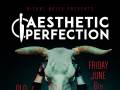 Aesthetic Perfection 
