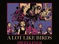 A Lot Like Birds