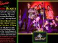 Boom Roots Collective