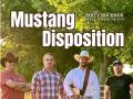Mustang Disposition