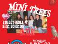 Mini Trees * Sweet Roll * Sun Sounds