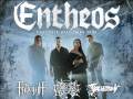 Entheos * Fallujah * The Zenith Passage * Tracheotomy