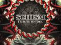 SCHISM - Tool Tribute Band