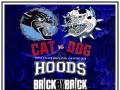 Hoods * Brick By Brick