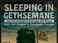 Sleeping in Gethsemane