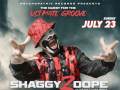 Shaggy 2 Dope  live at Launchpad