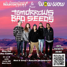 Tomorrows Bad Seeds LIVE