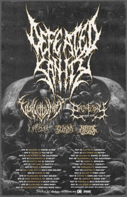 DEFEATED SANITY