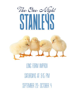The One Night Stanleys