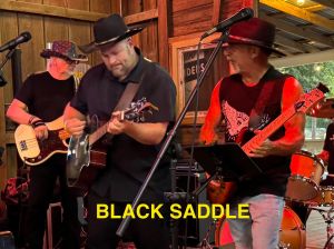 Black Saddle