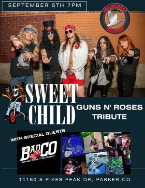 Sweet Child  Guns N Roses Tribute 