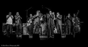 Mark Hummels Blues Harmonica Blowout