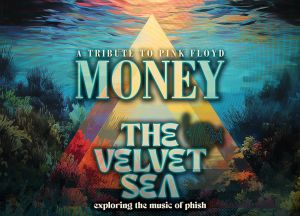Money Velvet Sea