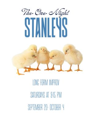 The One Night Stanleys