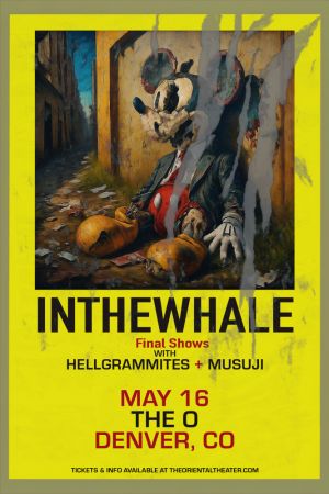 INTHEWHALE