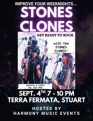 THE STONES CLONES