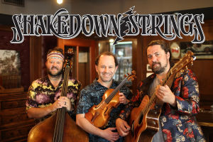 All Ages Matinee with Shakedown Strings