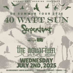 40 Watt Sun