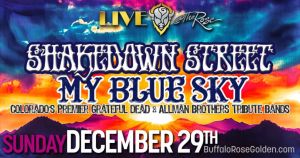 Shakedown Street amp My Blue Sky