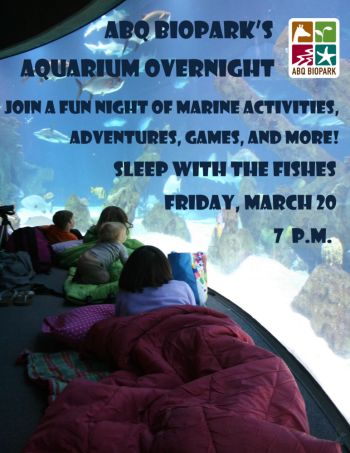 Aquarium Overnight March 20th Albuquerque Abq Biopark Aquarium
