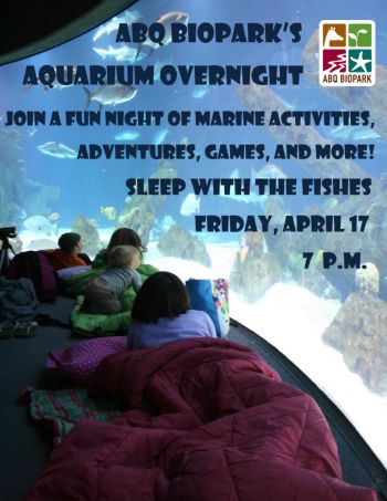 Aquarium Overnight April 17th Albuquerque Abq Biopark Aquarium