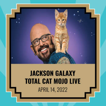Jackson Galaxy - April 14, 2022, 8:00 pm