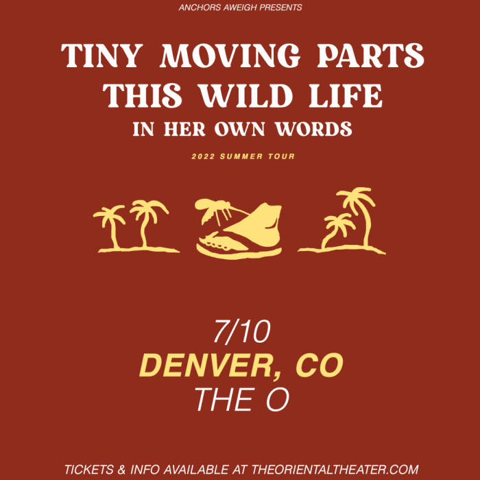 Tiny Moving Parts / This Wild Life