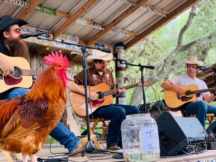 Song Swap Sunday With Weldon Henson David Touchton Todd Luckenbach song-swap-sunday-with-weldon-henson-david-touchton-todd-luckenbach