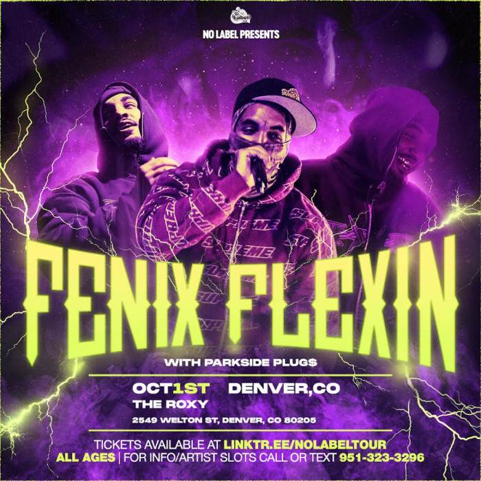 Fenix Flexin & Parkside Plug$
