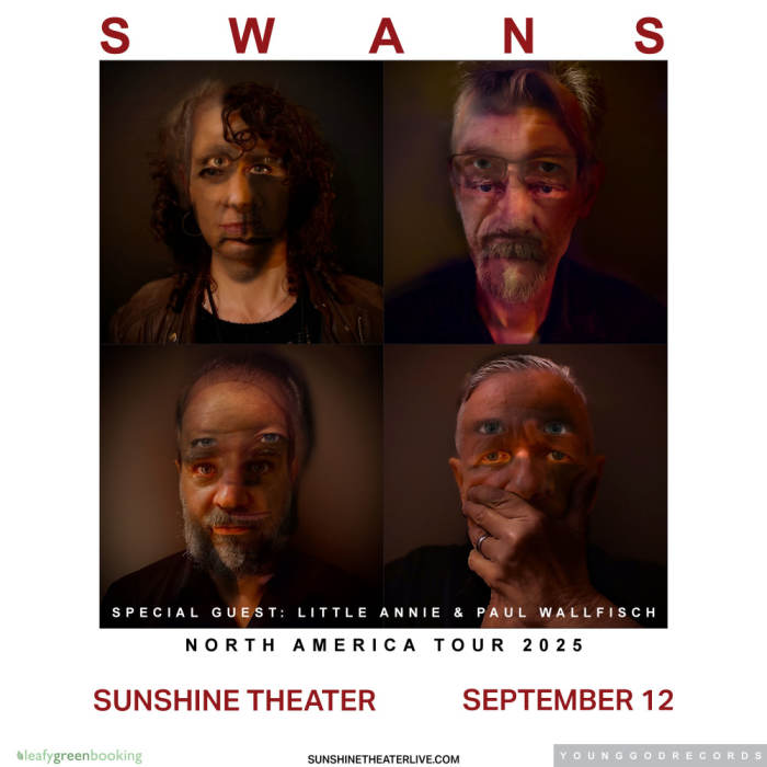 Swans 