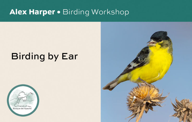 Friends of Bosque del Apache - Events