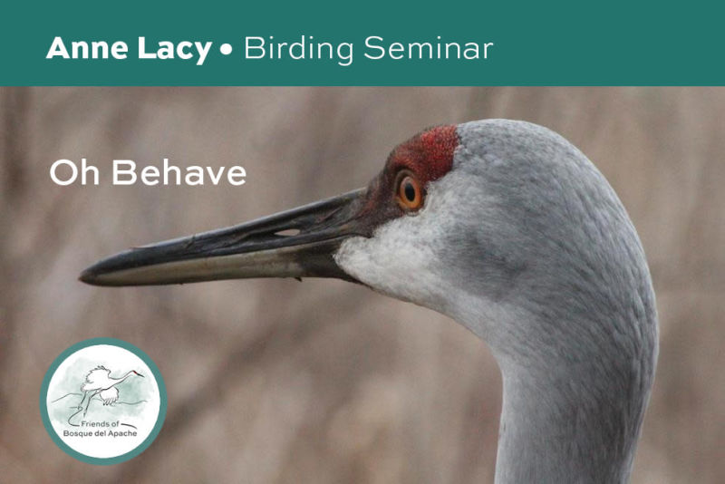 Friends of Bosque del Apache - Events