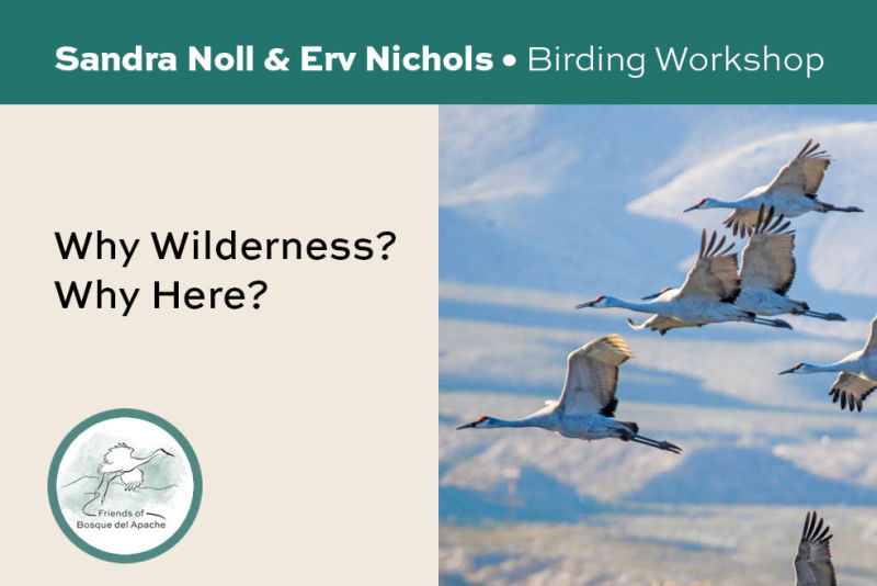 Friends of Bosque del Apache - Events