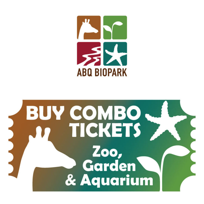 Albuquerque BioPark Zoo Events