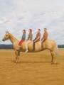 holdmyticket