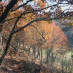 NaturebooksUK NaturebooksUK