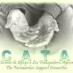C.A.T.A. C.A.T.A.