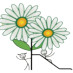 daisychaindub daisychaindub