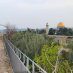 Palestine my Home Palestine my Home